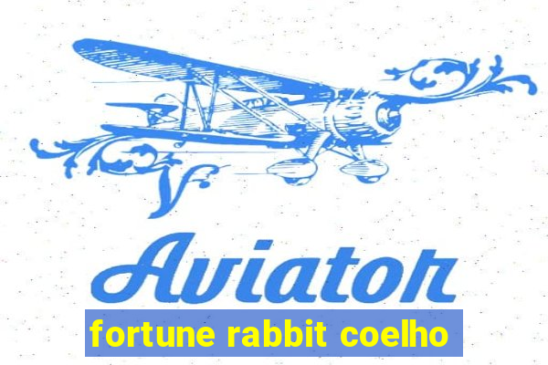 fortune rabbit coelho